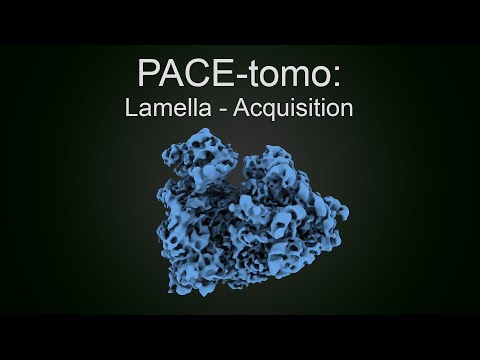 PACE-tomo: Lamella - Acquisition