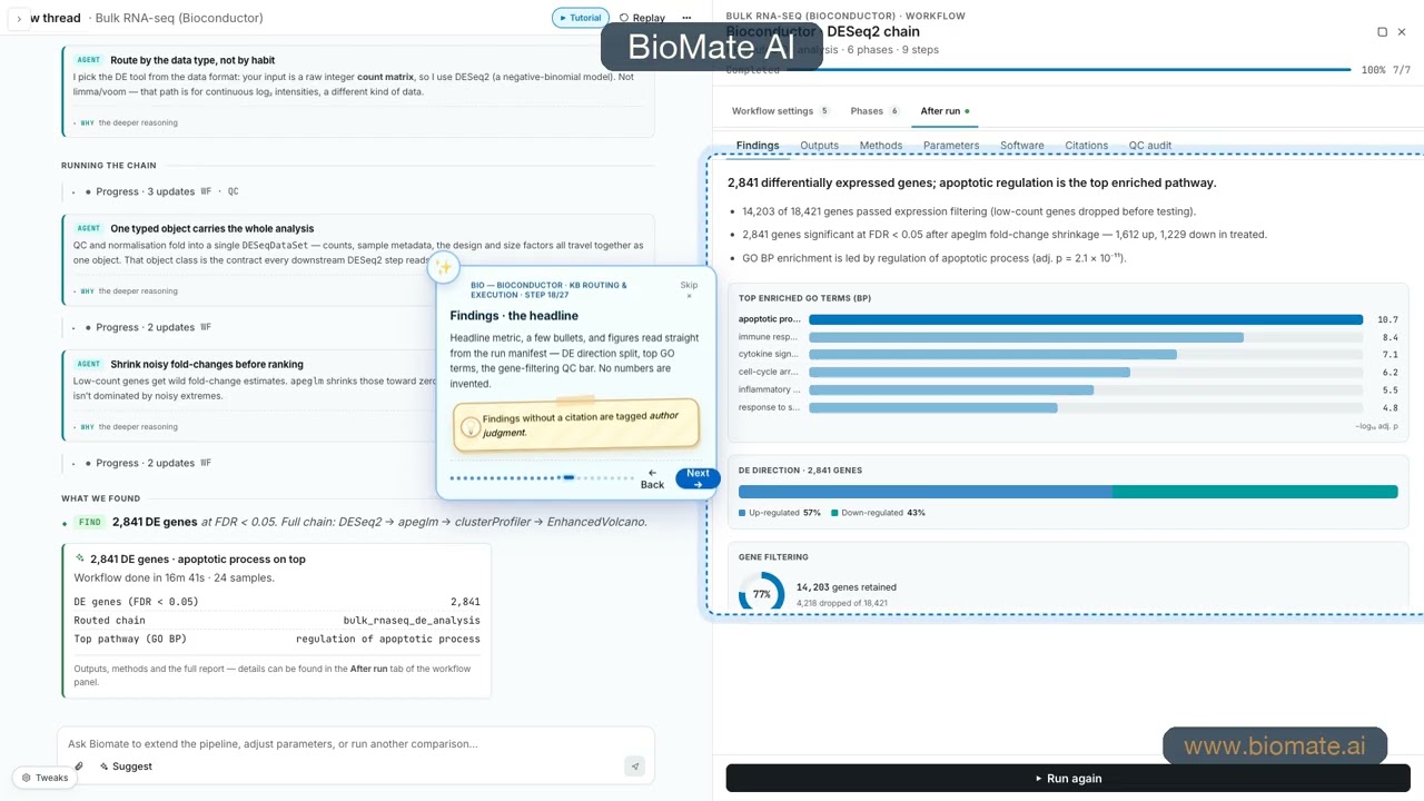 BioMate AI | Bulk RNA-seq: DESeq2 + GO enrichment, no R code needed
