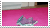 stampsuicunefly