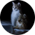 jjikky