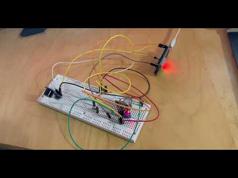 Demo Video