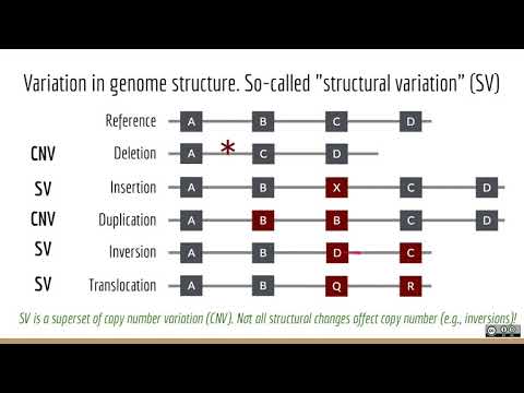 Applied Computational Genomics - 11 - What is Structural Variation and how do we detect it?