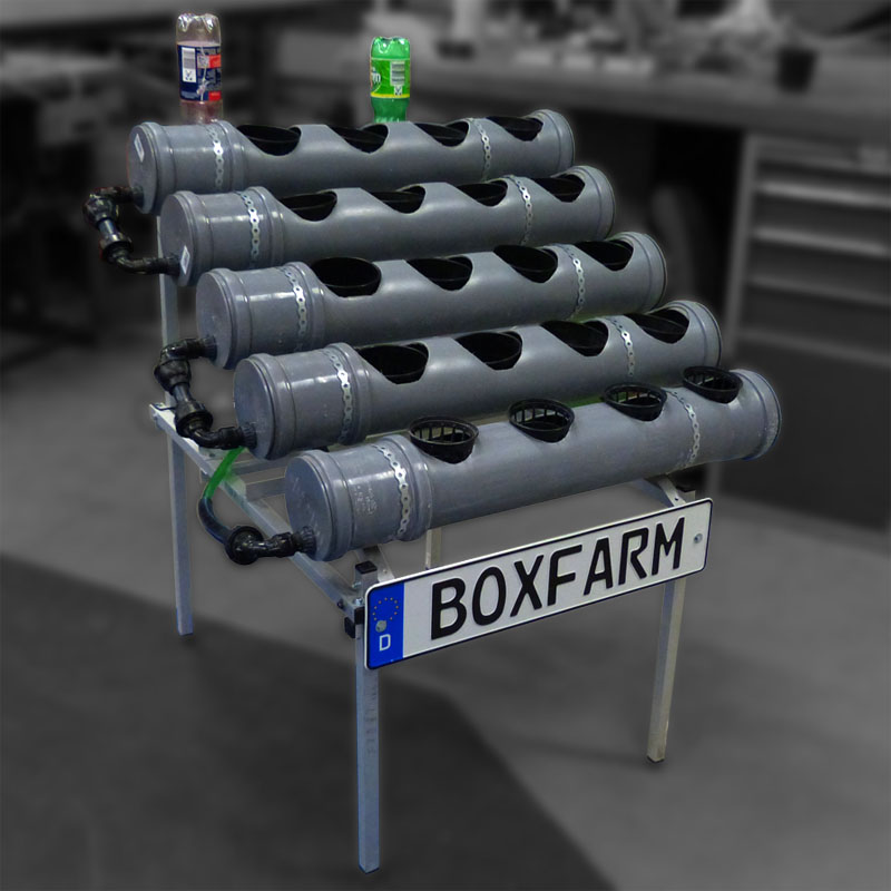 BoxFarm photo