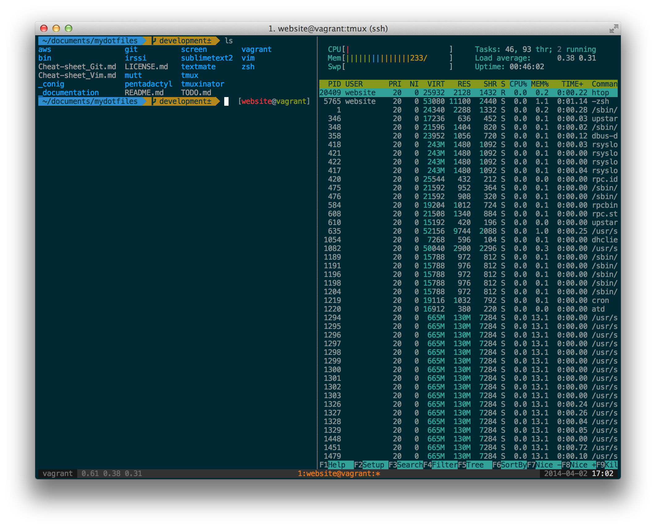 Screen shot - ZSH