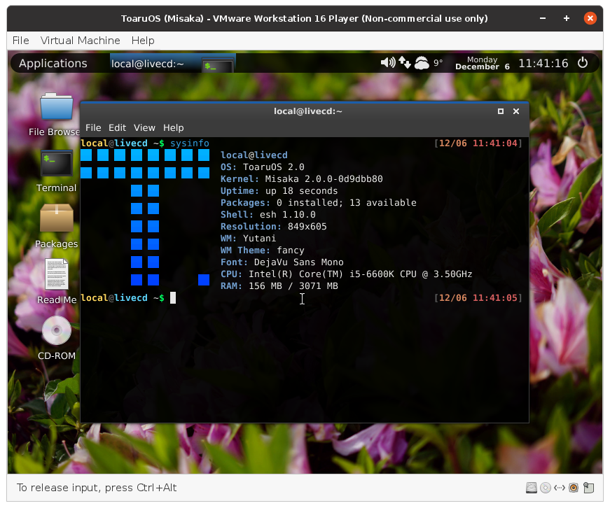 VMware screenshot