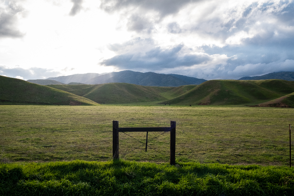 The pasture is a beautiful place