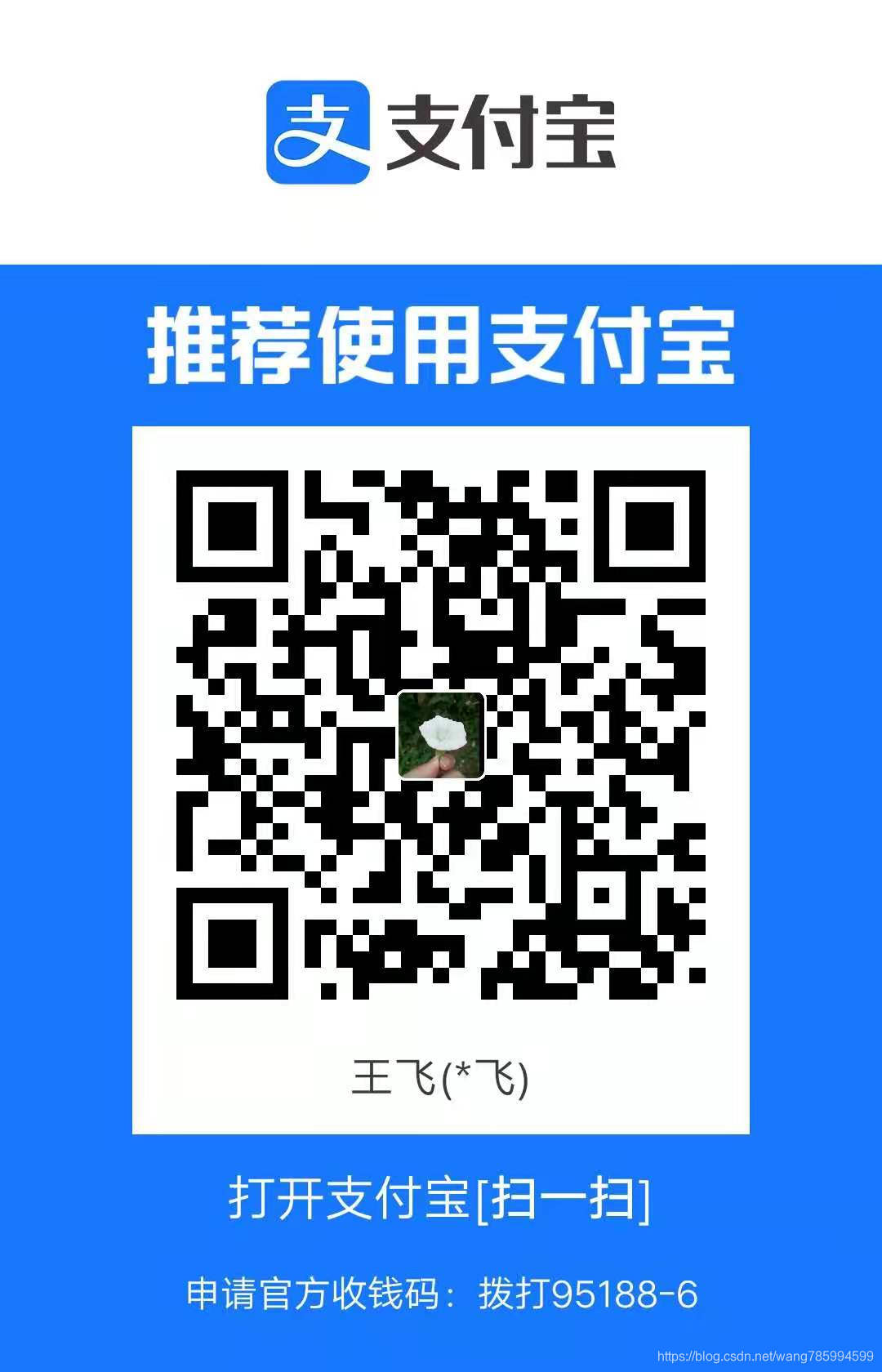 alipay-code