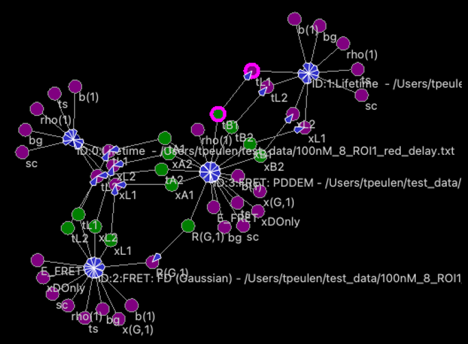 ChiSurf Parameter Network