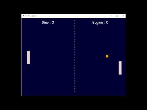 Pong Game Demo Video