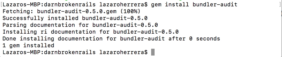 Install Bundler Audit