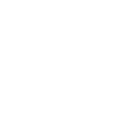 Anonymous Pinguin         