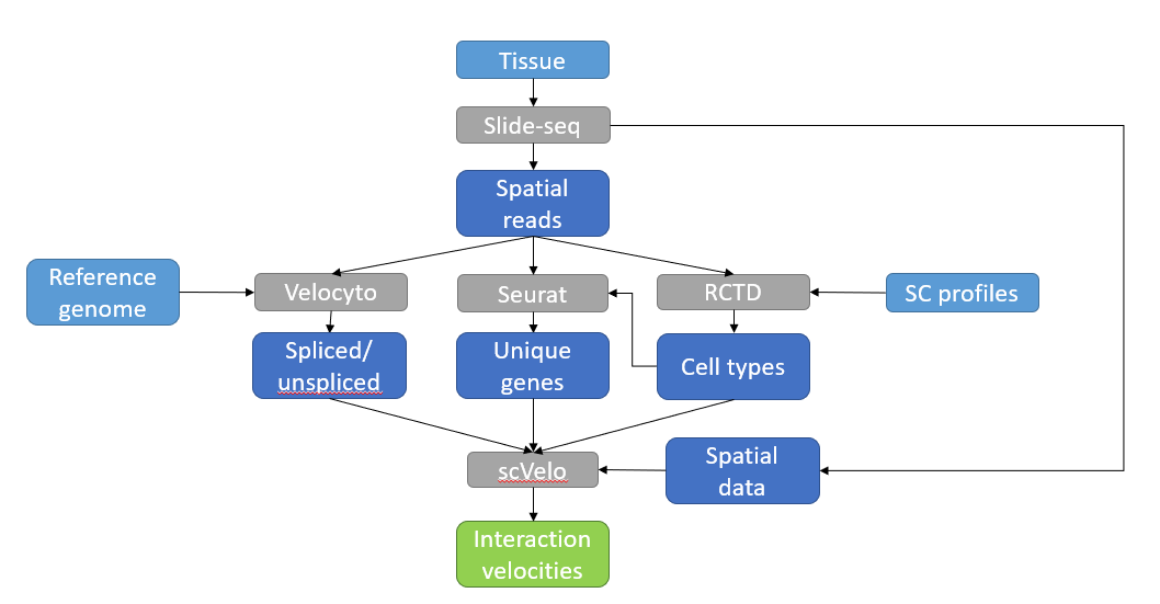 Flowchart of the interaction velocity pipeline