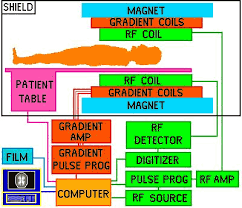 mri struct