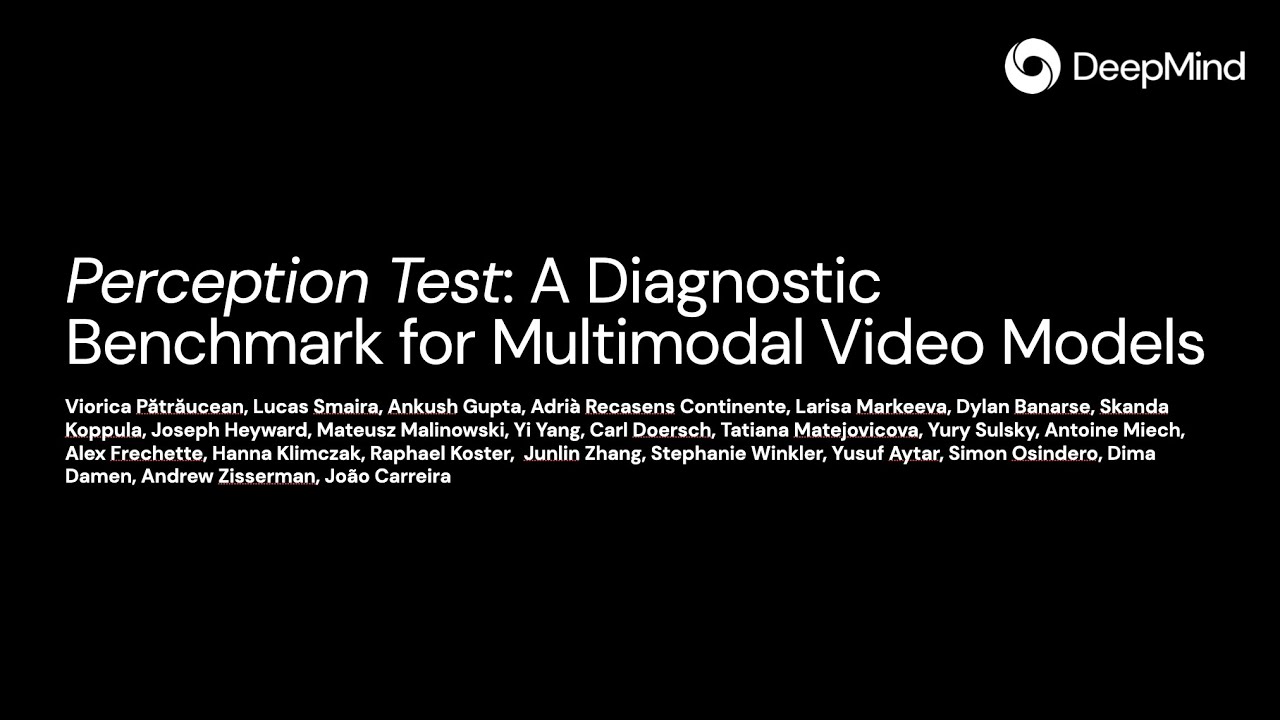 Perception Test Overview Presentation