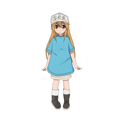 platelet_2图像