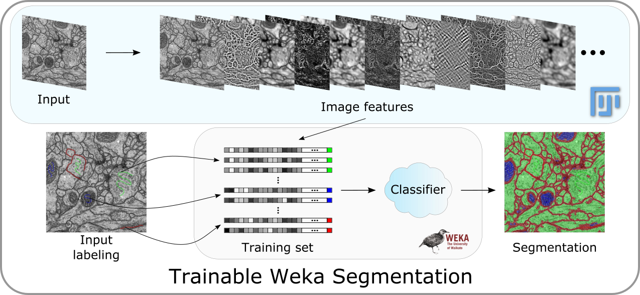 Trainable Weka Segmentation pipeline overview