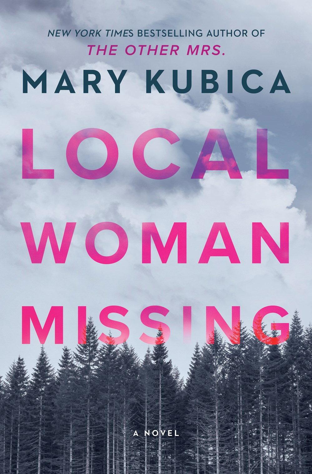 ebook download Local Woman Missing