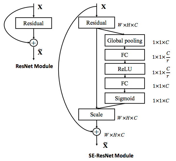 SENet Architecture