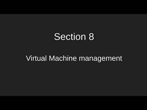 Section 8 - Video