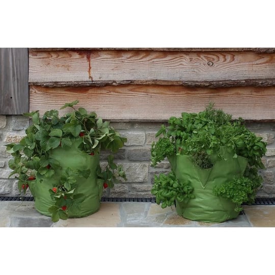 haxnicks-strawberry-herb-patio-planter-1