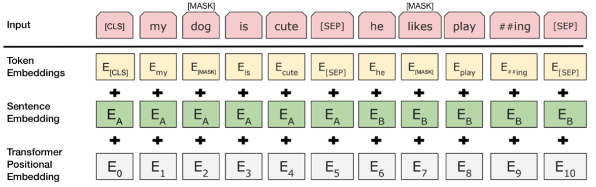 BERT embeddings