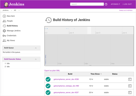 Screenshot jenkins-material-theme history