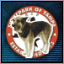 Achievement badge icon
