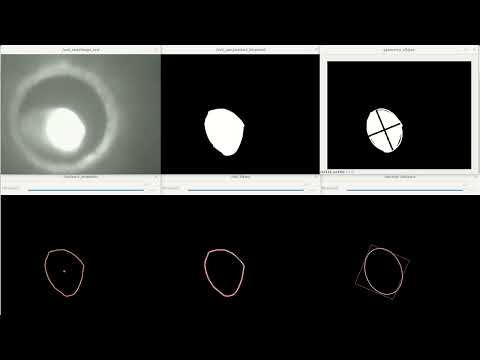 Multisensor Feature Visualization