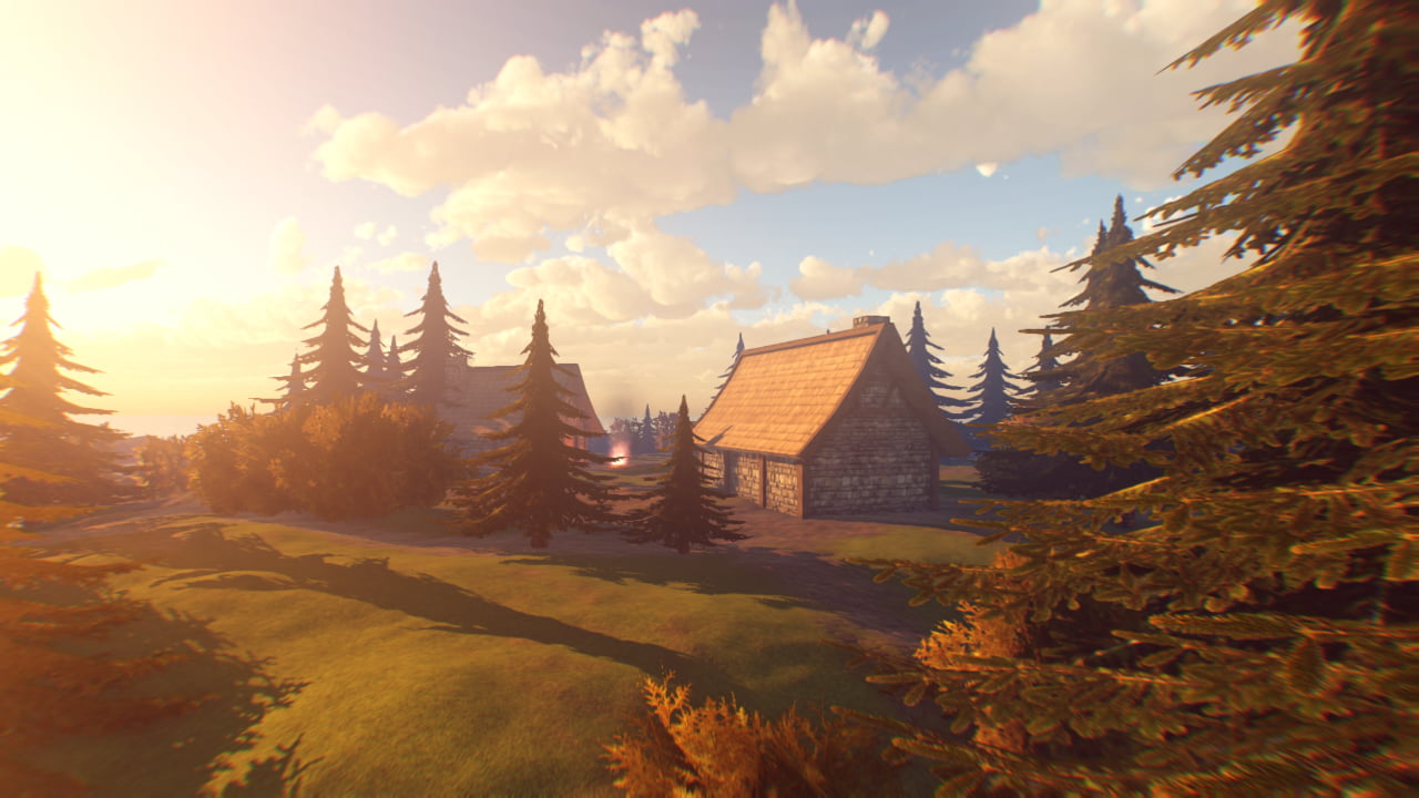 Forest