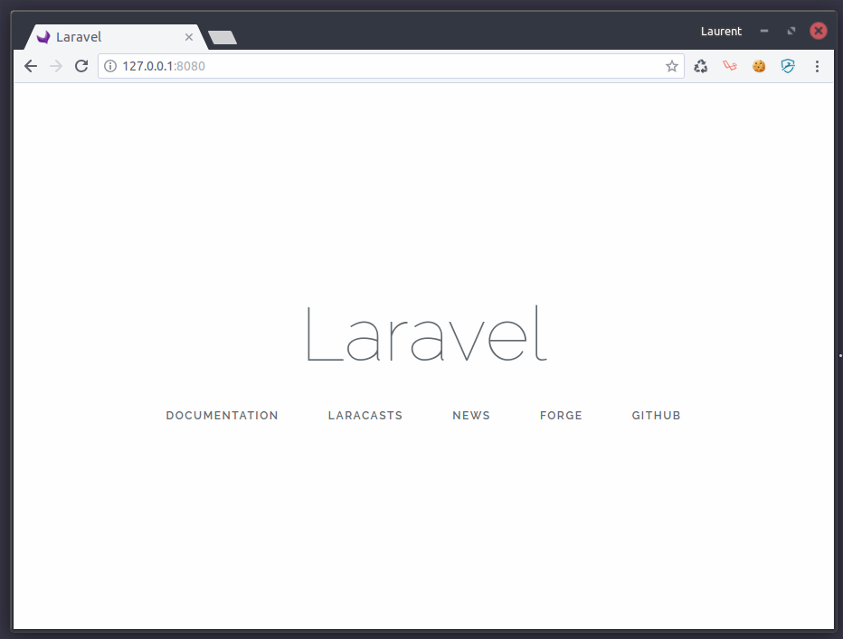 Laravel web view