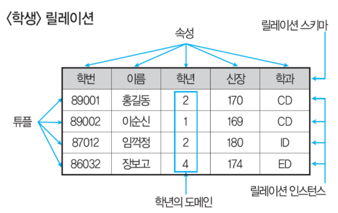 릴레이션