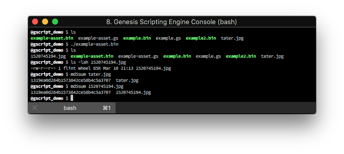 Embedded Asset Final Binary Example