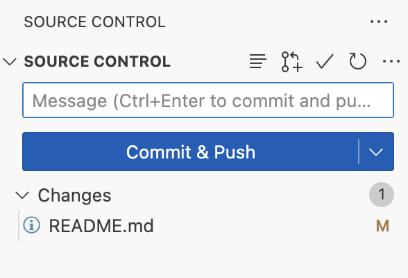 Source Control Menu