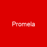 Promela