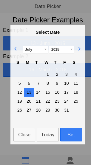 Date picker modal