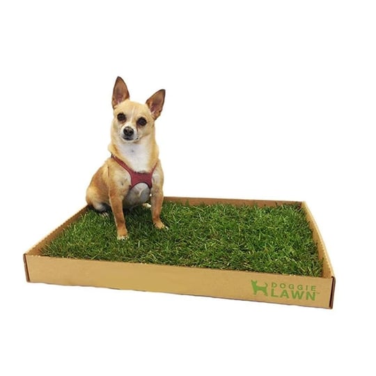 doggielawn-disposable-dog-potty-with-real-grass-1