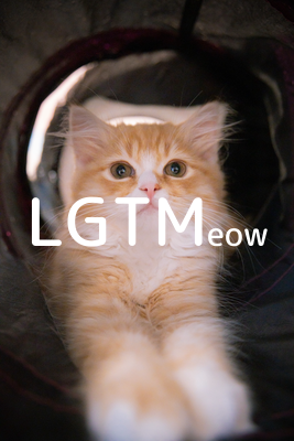 LGTMeow