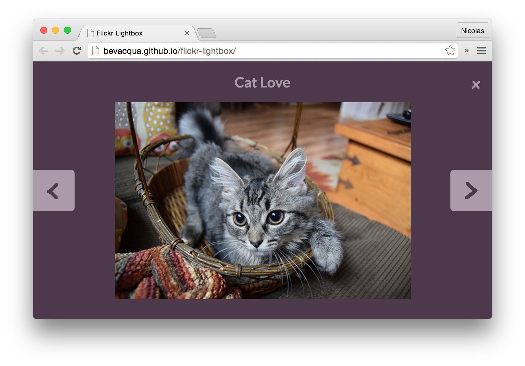 GitHub - bevacqua/flickr-cats: A demo page using the Flickr API ...