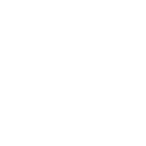 C++
