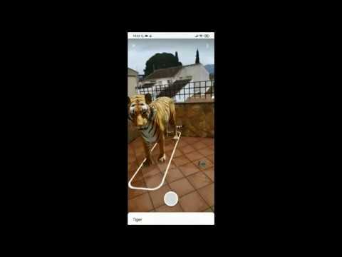 Animals 3D App