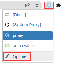 Proxy SwitchyOmega