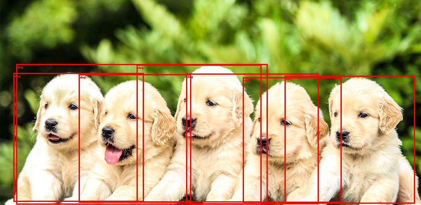 object detection