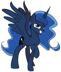 pony image