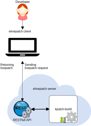 elivepatch diagram