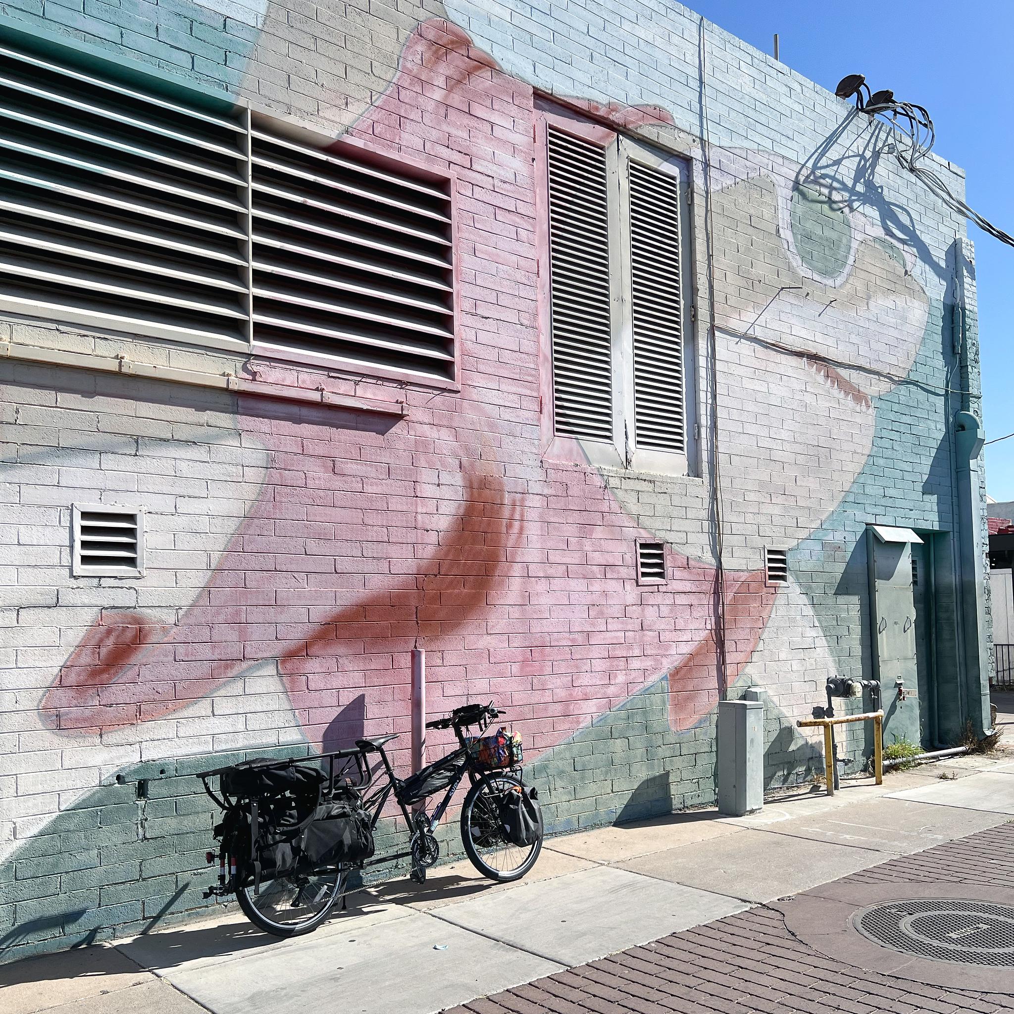 shark bike