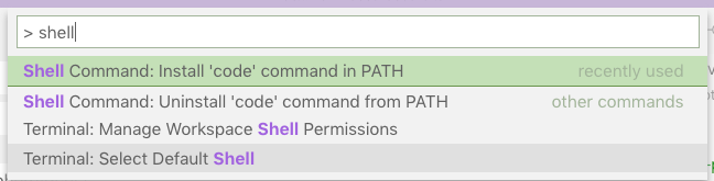 vscode shell command