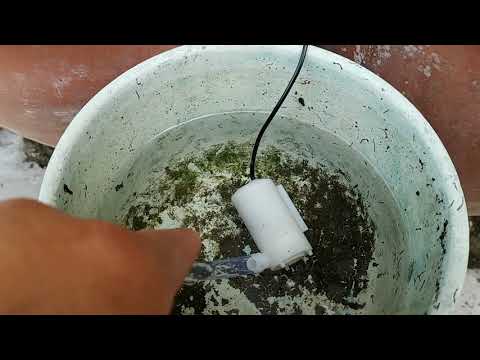 Auto garden watering