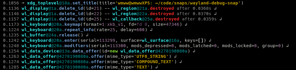 Wayland Debug sample output