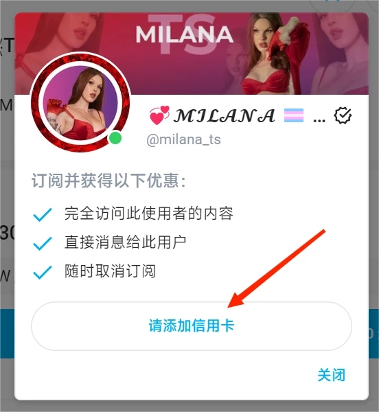 OnlyFans 付费界面