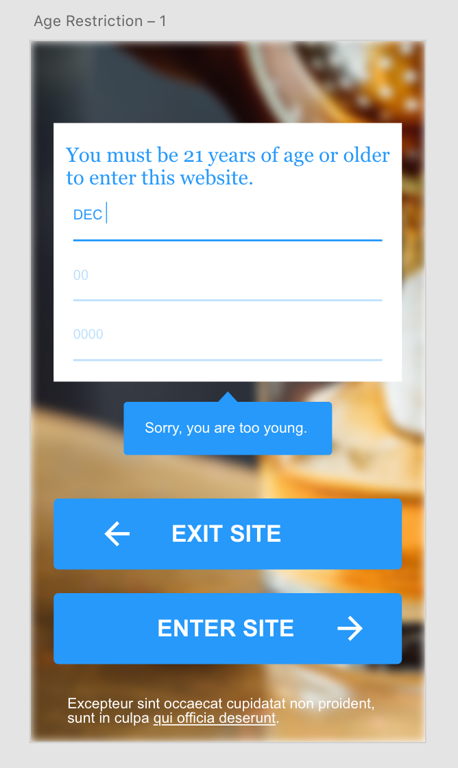 Mobile Age Gate Wireframe